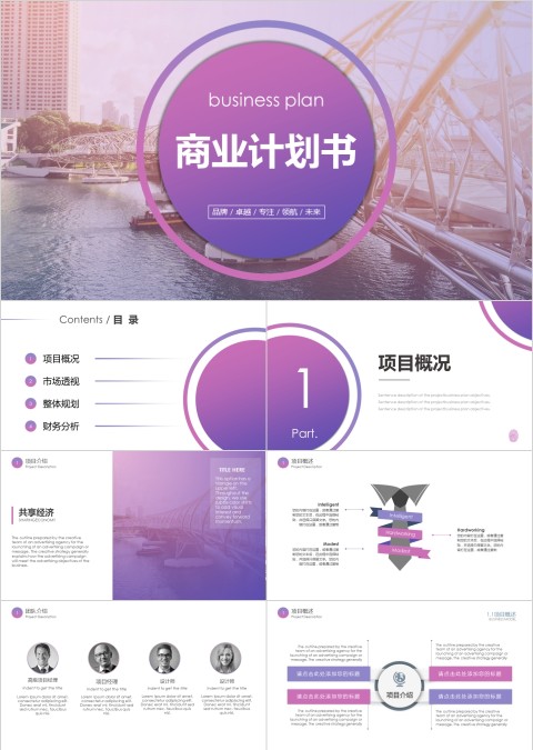 商业计划书商务报告述职汇报