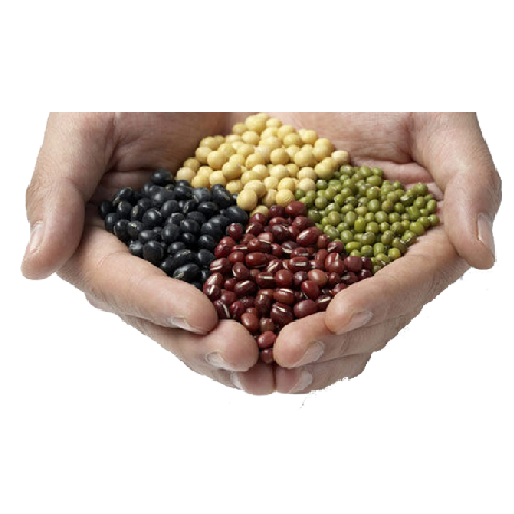 一捧豆子免抠素材