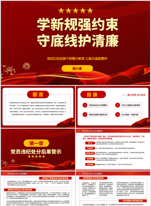 学新规强约束，守底线护清廉，纪检监察干部警示教育