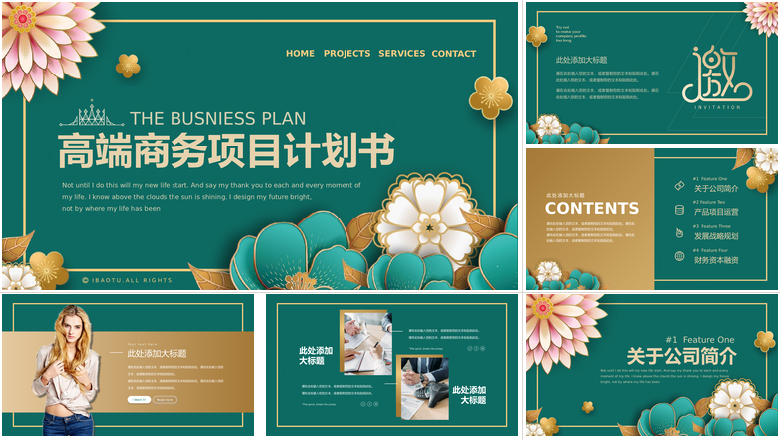 高端商务项目计划书swot分析