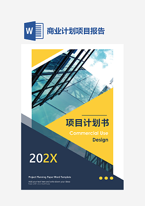 商业计划项目报告