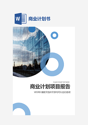 商业计划项目报告