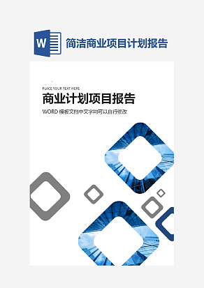 商业计划项目报告