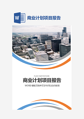 商业计划项目报告