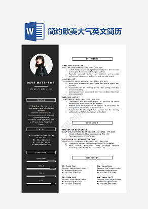 简约欧美大气英文简历
