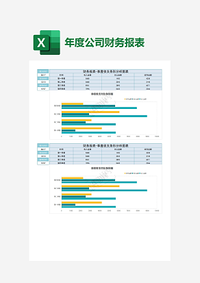 年度公司财务报表