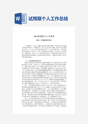 试用期个人工作总结