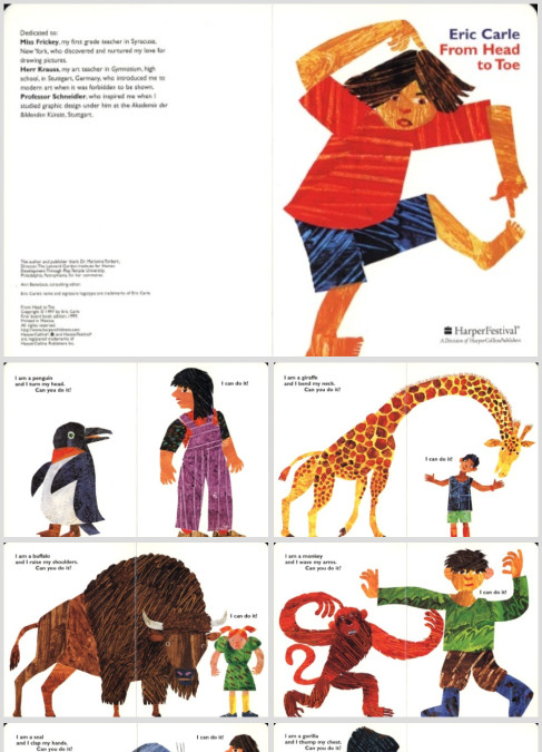 认识动物英语绘本《From Head to Toe》从头到脚跟我学